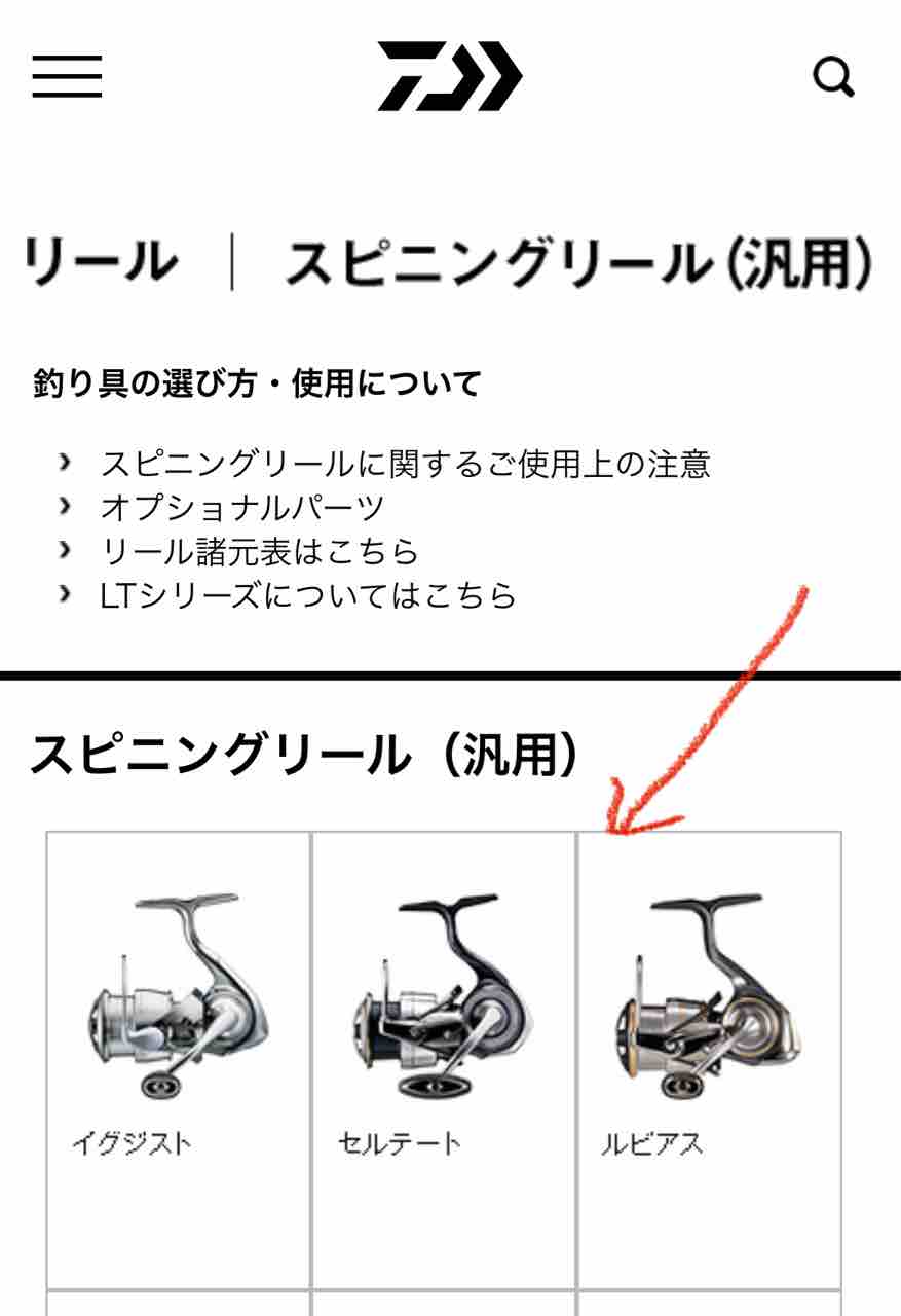 さよならルビアスエアリティ : シーバス&ライトゲームな日々