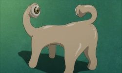 hoWSEUP