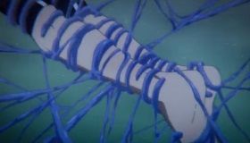 WS000025