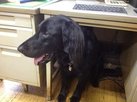 i1X_U09sJJmRXZGtUrWSON3udF2SFzua3dibw1vdV8E