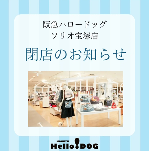 スクリーンショット 2024-10-02 061523