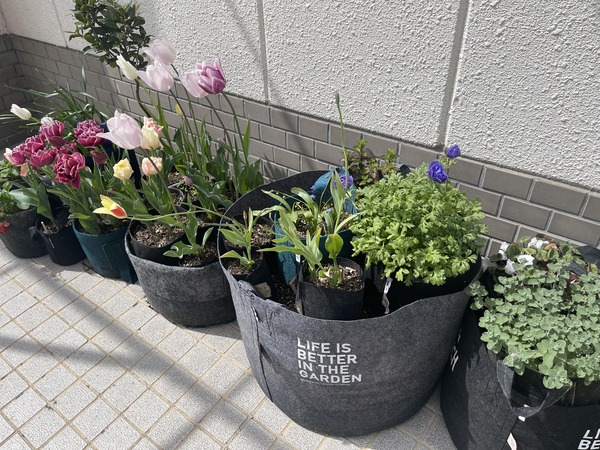 4E341DB1-C362-4F22-8BA4-02196AC07E73