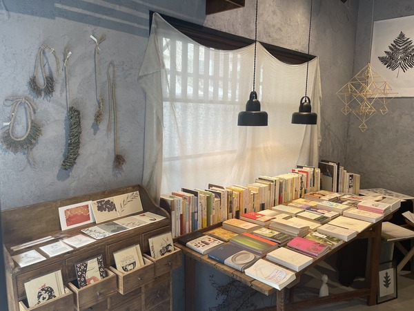 293FE04F-1667-49EC-9215-60C743969711