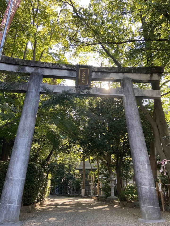 伊和志津神社0