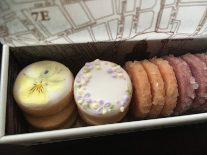 E2E74C31-C7A6-4C58-93DD-AE8D20CFD695