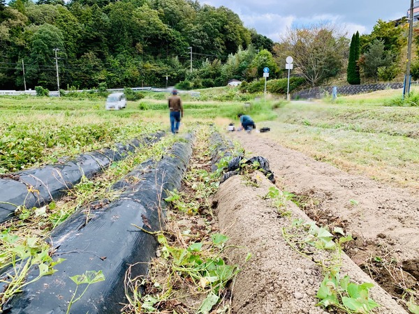 175B745B-3F76-42FA-A52C-33E844B738FE_new