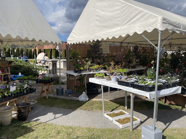 6500A054-7B88-4CD7-9BCE-DB12D8A5BB92