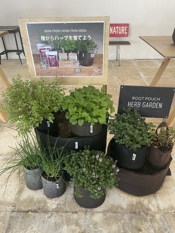 1629B18D-1679-4A2B-9636-39BE9E54AD08