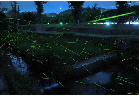 スクリーンショット 2024-05-28 195026