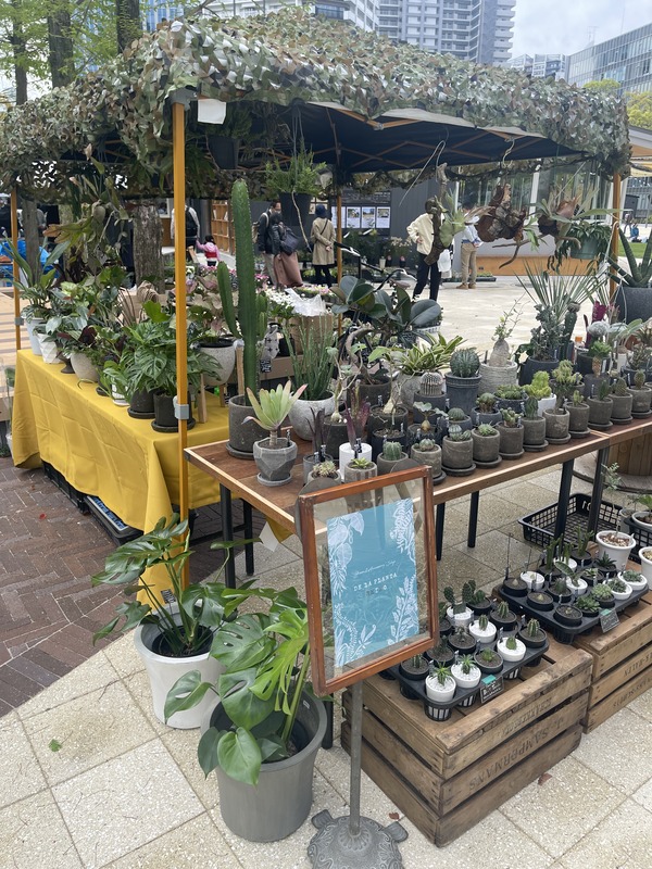 274AA545-8B12-41A1-9C04-0BE7E255C863