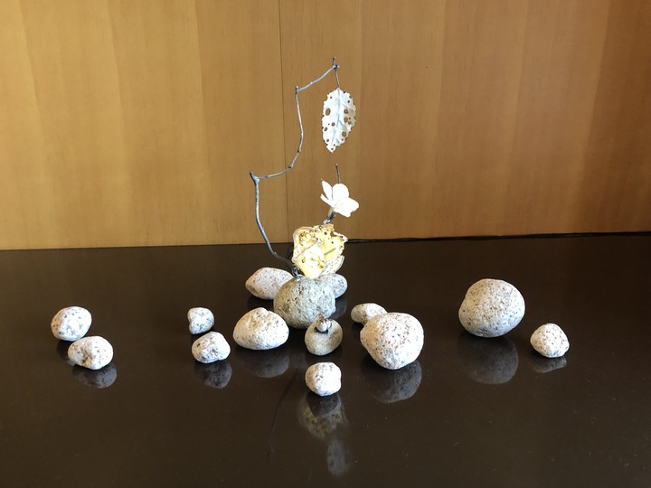 1CD1145F-E459-44B7-8593-EE506C66F0EC