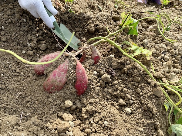 5692C134-D23A-46E1-A282-F95FBA26C5F3