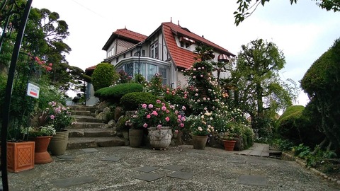 60854444_665917297163973_4899305594395033600_n