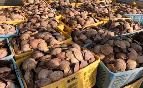 スクリーンショット 2020-05-08 12.16.19