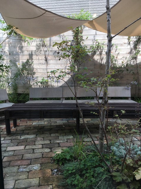 42f57c36.jpg