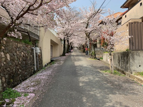 寿楽荘さくら３