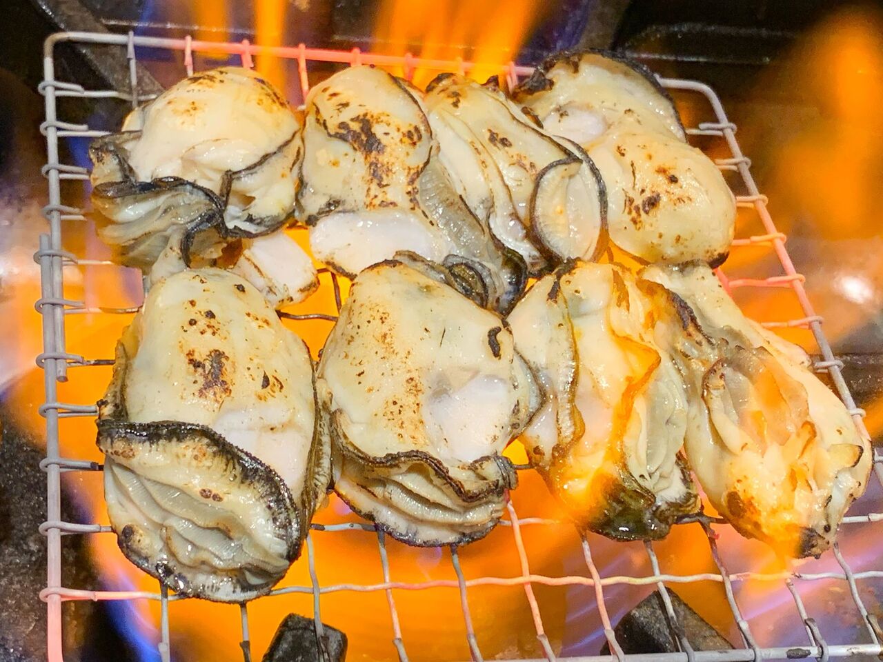 坂越牡蠣が食べ放題 !牡蠣専門店アルフィオ(宝塚)の2月の食べ放題DAYはキムチ鍋! BRALI 宝塚 坂越牡蠣が食べ放題 !牡蠣専門店アルフィオ(宝塚)の2月の食べ放題DAYはキムチ鍋! BRALI 宝塚