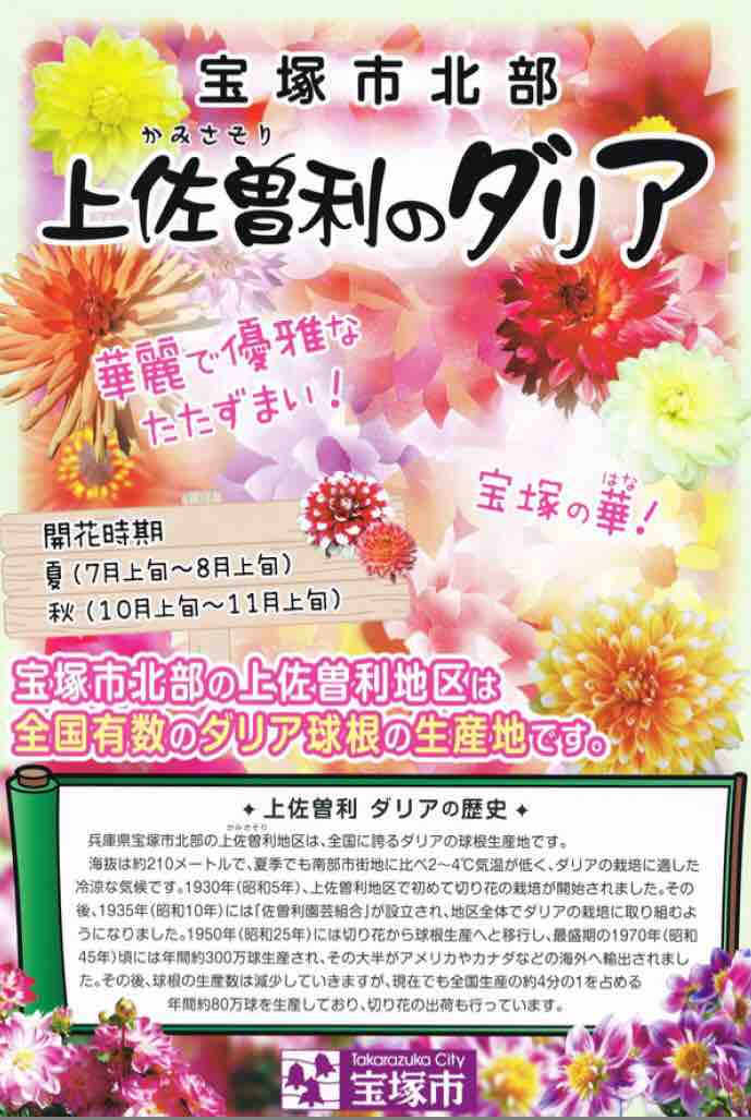 7 14 土 8 5 日 新名神開通で便利に もうすぐ夏季開園 宝塚ダリア園 ぶらり宝塚 ーハッピー地域メディアー 7 14 土 8 5 日 新名神開通で便利に もうすぐ夏季開園 宝塚ダリア園 ぶらり宝塚 ーハッピー地域メディアー