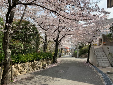 寿楽荘さくら５