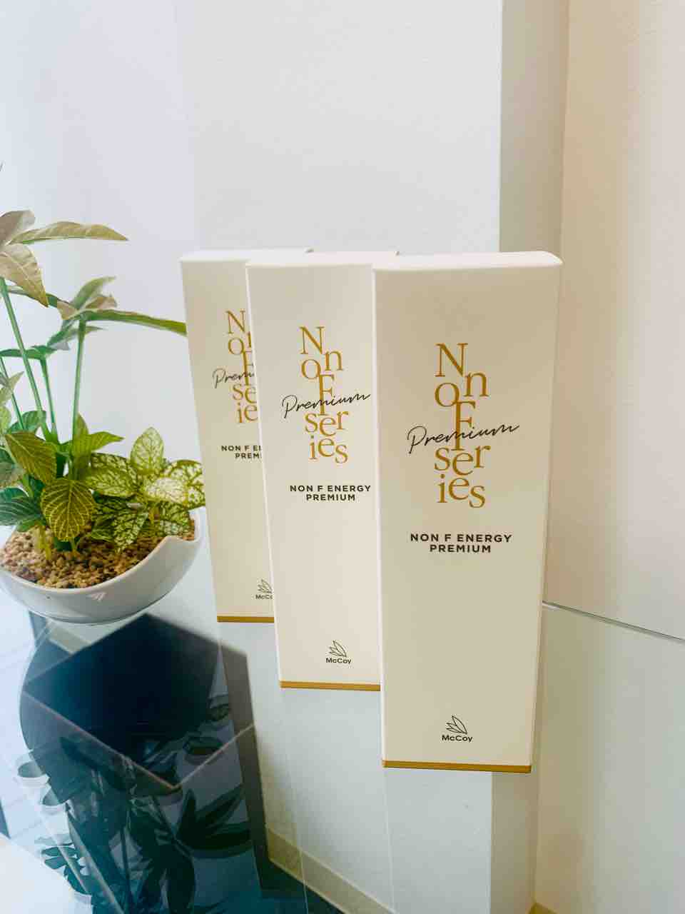 マッコイノンF エナジー プレミアム 250g 3本