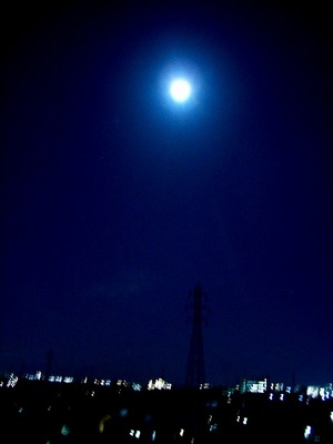 330bluemoon-2