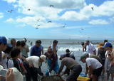 jibikiami2008