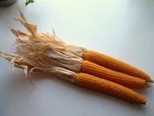 UNI_0197