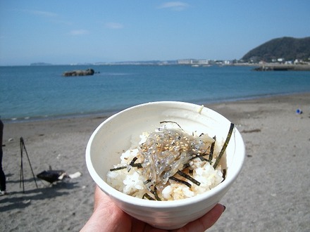 shirasu-tour