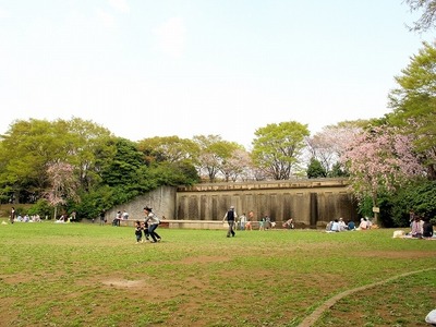 hanami-1