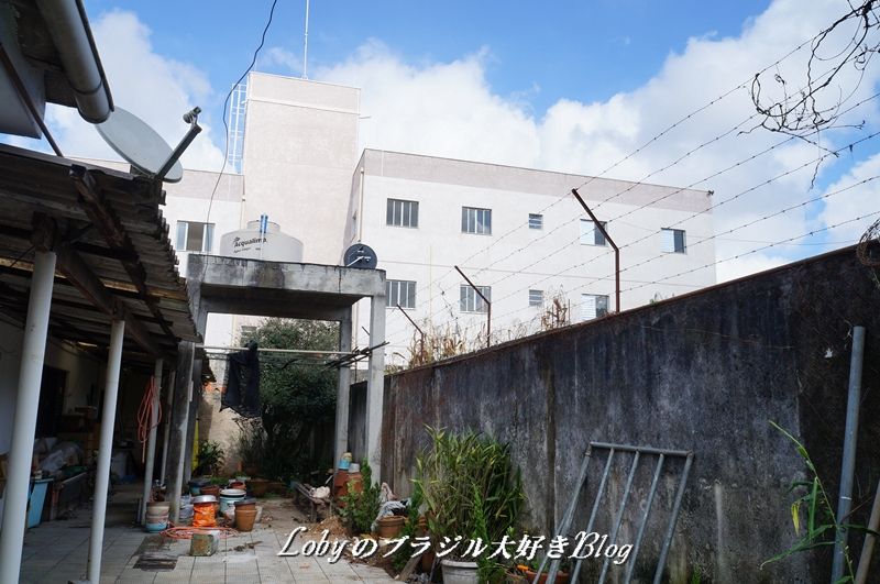 秋深し隣は何を 人の家を覗くな lobyのブラジル大好きblog 2