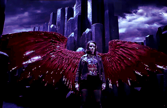 tumblr_cc786b1f031da62c8fdc361d23486d8b_699ef3b7_540