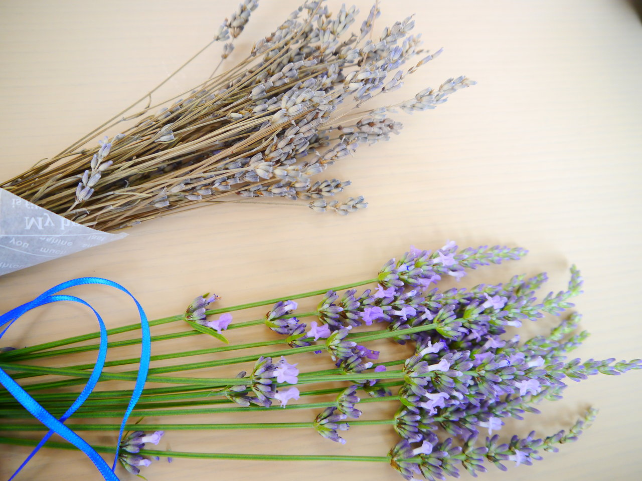 ラベンダーシーズン Brass Hairsalon 倉吉