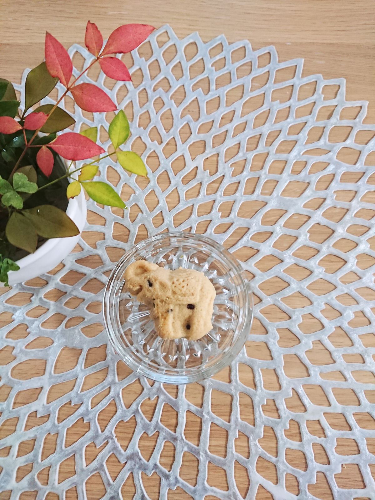 焼き菓子 タイのお土産 象さんクッキーが可愛い件 ブラボー エンジョイスイーツ