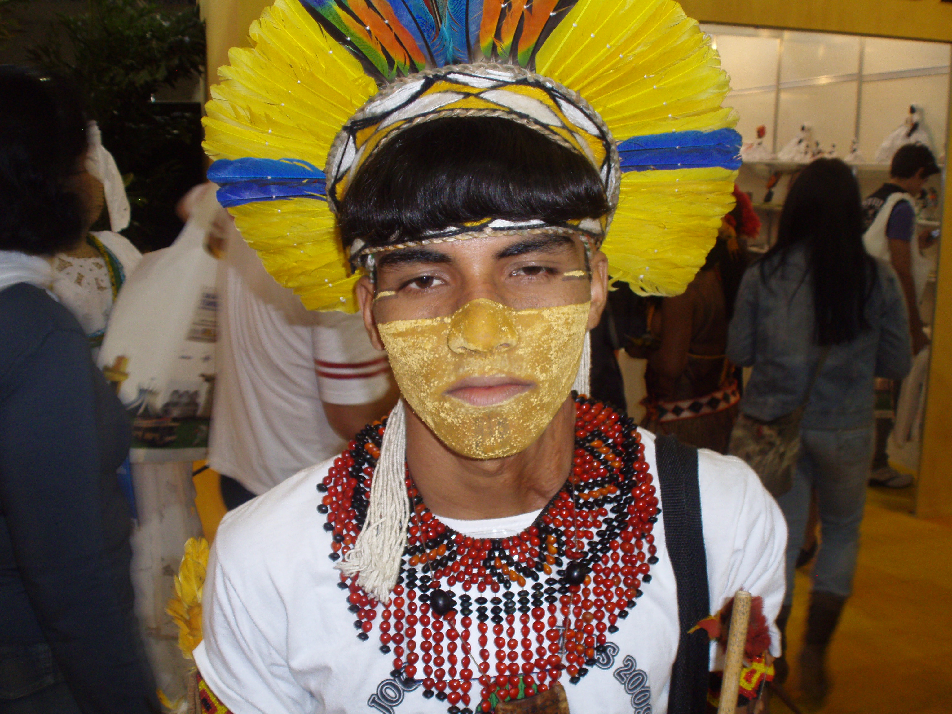 ブラジルあれこれ ブラジル 日本のサッカー 巷の話