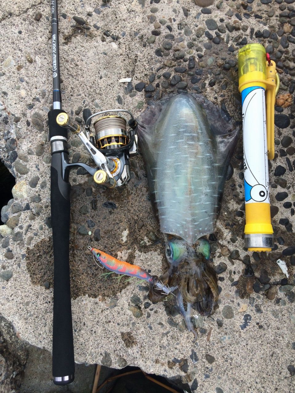 釣果報告 メタルマルで根魚連発 Peスペシャルでのエギング ブリーデン釣果情報ページ 13gallaly 釣果報告 メタルマルで根魚連発 Peスペシャルでのエギング ブリーデン釣果情報ページ 13gallaly
