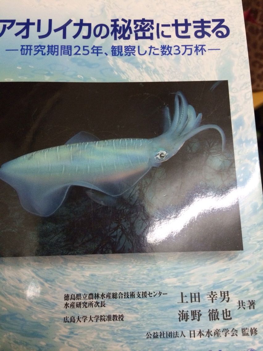 アオリイカの食性 ショア侍joeのjoe Style S