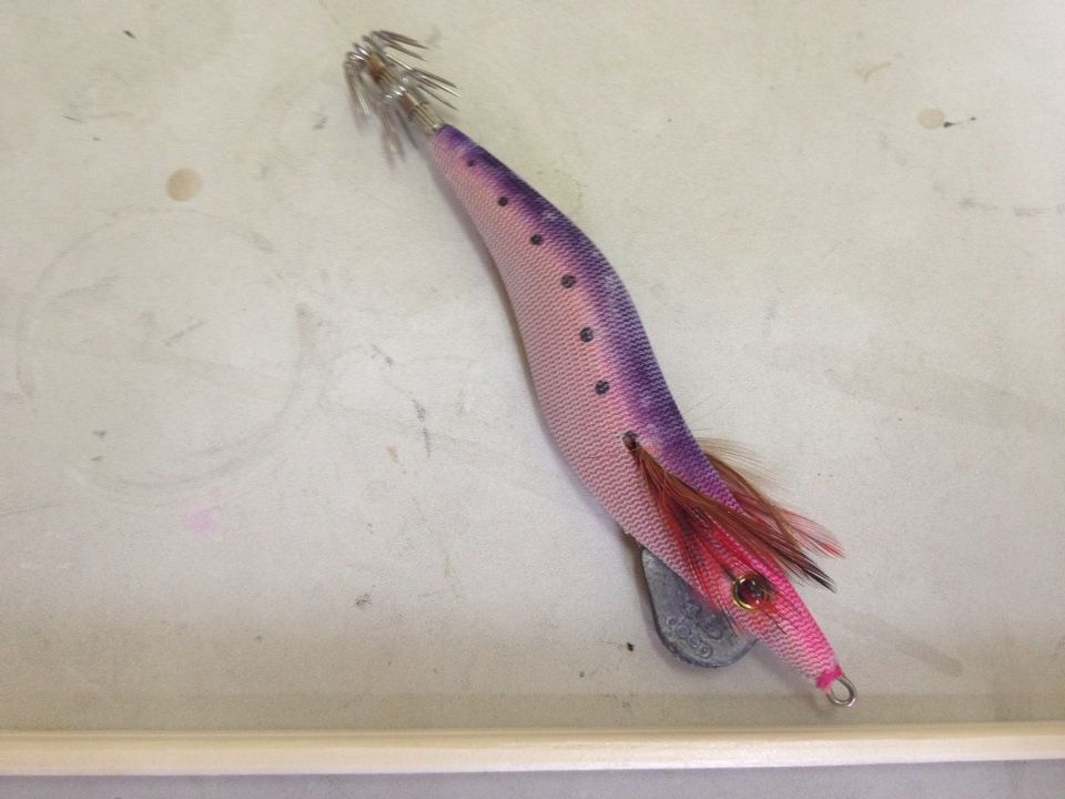 エギについて考える2 ショア侍joeのjoe Style S エギについて考える2 ショア侍joeのjoe Style S