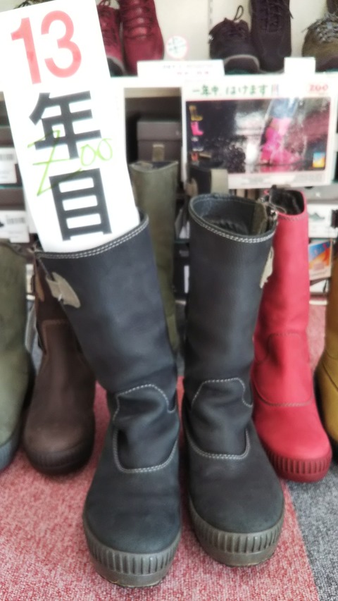 13年履いても、まだ履ける「ZOO」