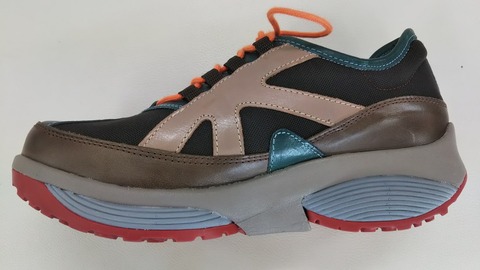 春を告げる、ストレッチウォーカー。