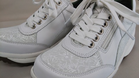 春色、入荷始まりました。