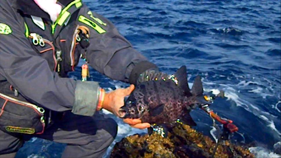 えっ キンダイが釣れた 12 23 笑う門には 体感ショック