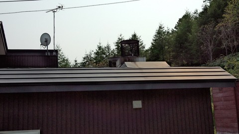 べきたんとそらちゅんお散歩197