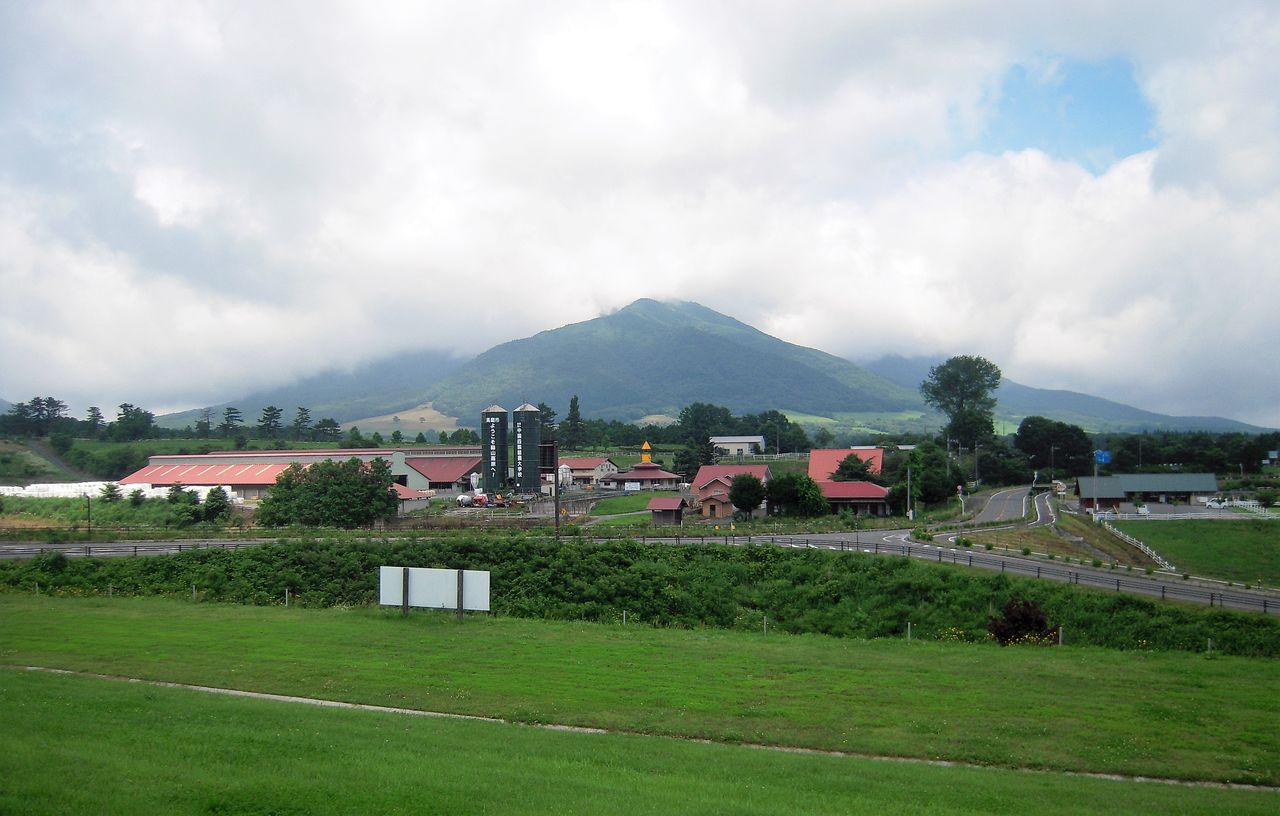 ラベンダーの香り Brilliant Days 田舎親父の趣味三昧