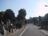 紅葉雑司が谷霊園_2