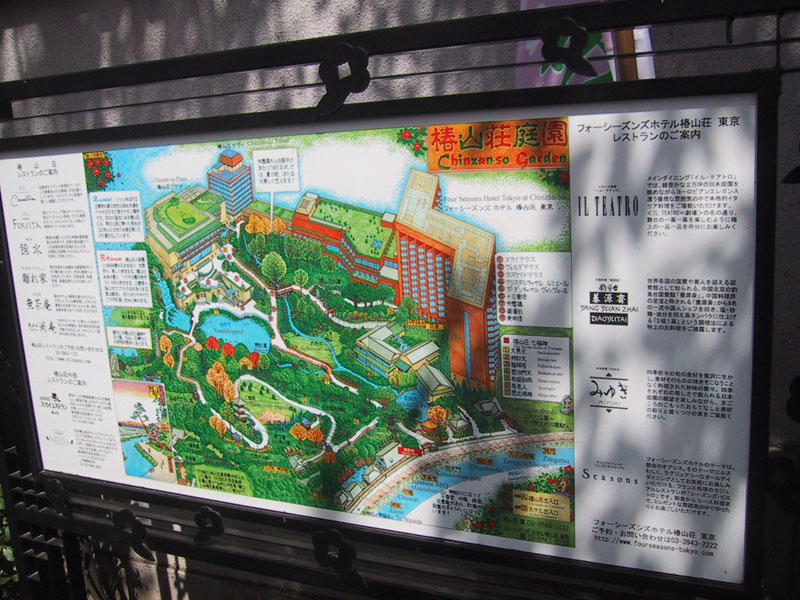 花見スポット 神田川沿いの桜並木 南池袋 東池袋 雑司が谷 豊島区通信