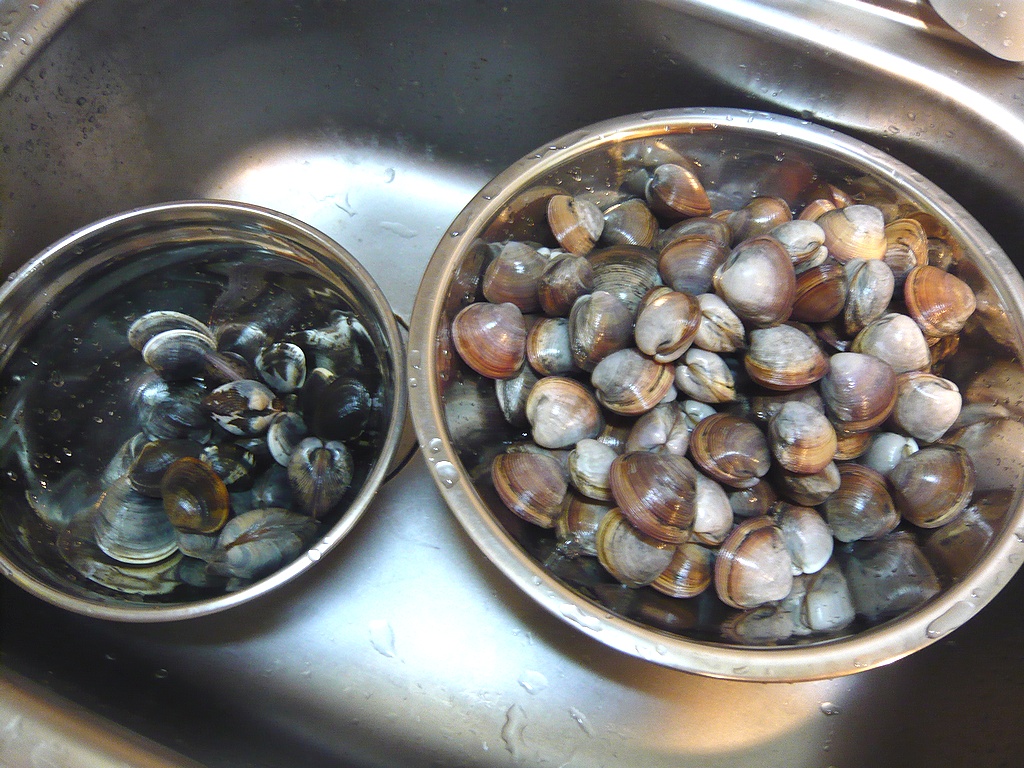 潮干狩り スノーボードとか