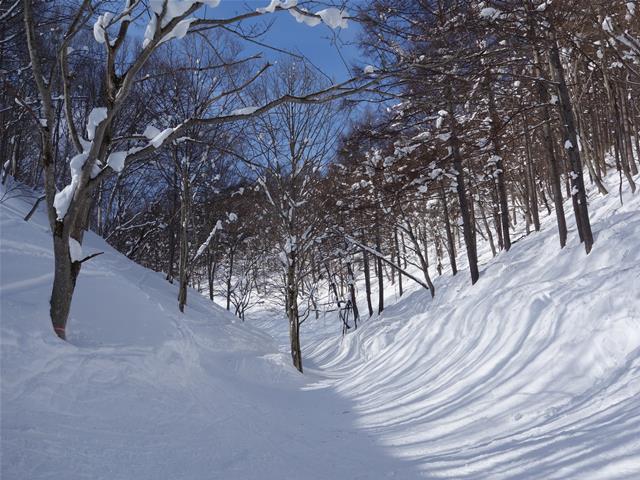 1f79b6fb.jpg (640×480)