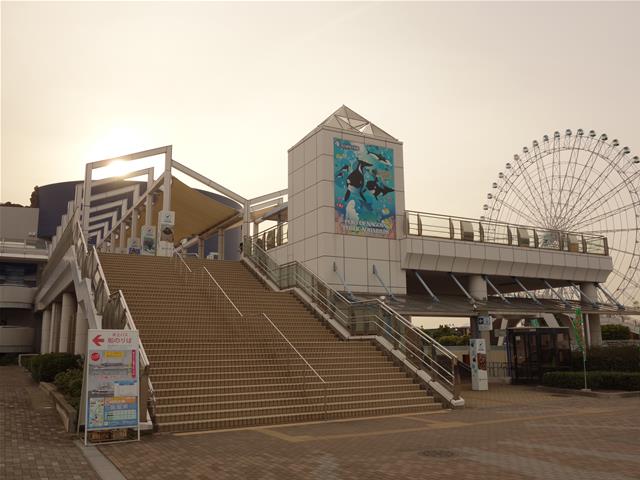 名古屋港水族館 うみてらす１４ 何でもない旅の記録