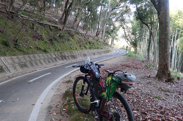 長崎観光 野母崎 稲佐山 何でもない旅の記録