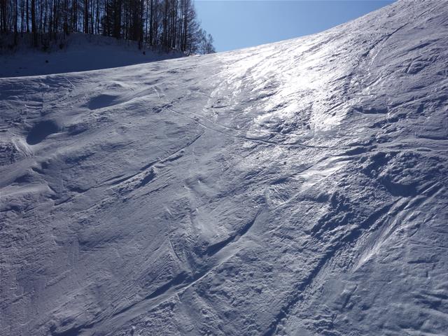 8b3cde26.jpg (640×480)